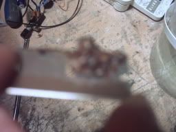 Billede