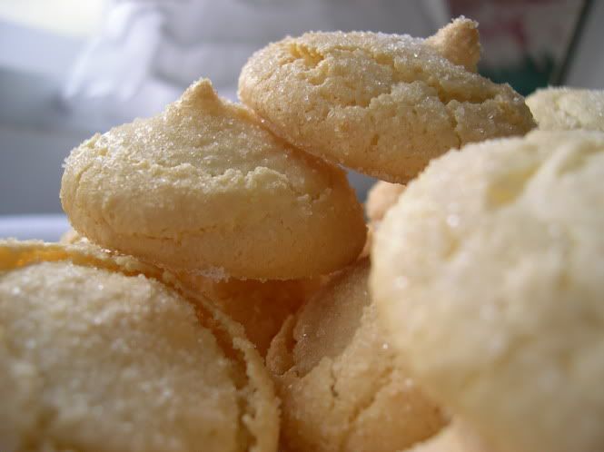 Imagen cortesia de Javi Mugica