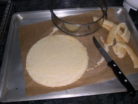 Imagen cortesia de Javier Mugica