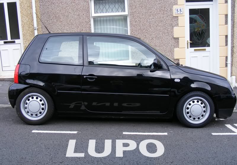 LUPO-LOW.jpg