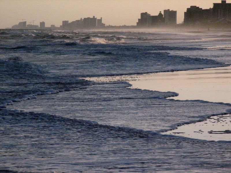 IMAGE: http://img.photobucket.com/albums/v185/Katt45/IMG_2871.jpg