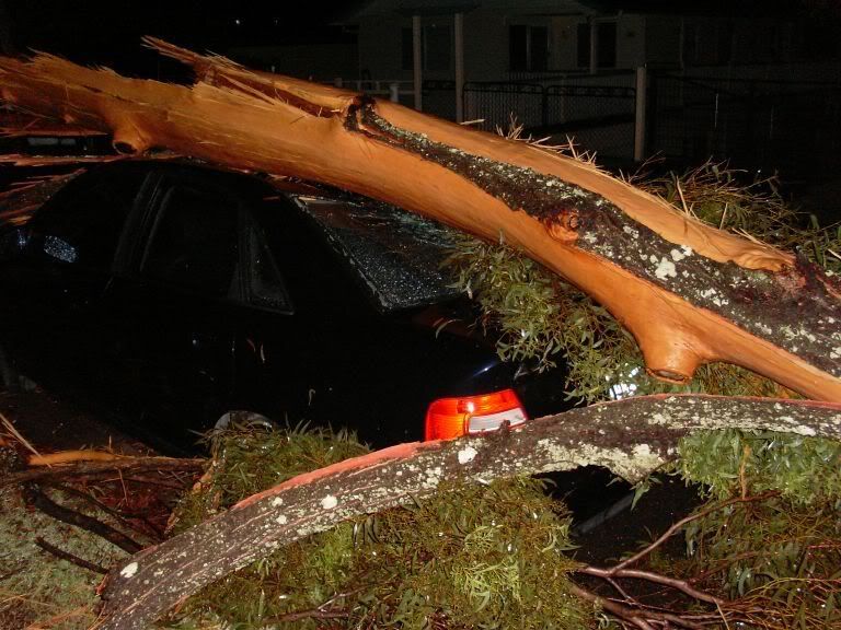 Crushed Car Bisbane 16 Nov 2008
