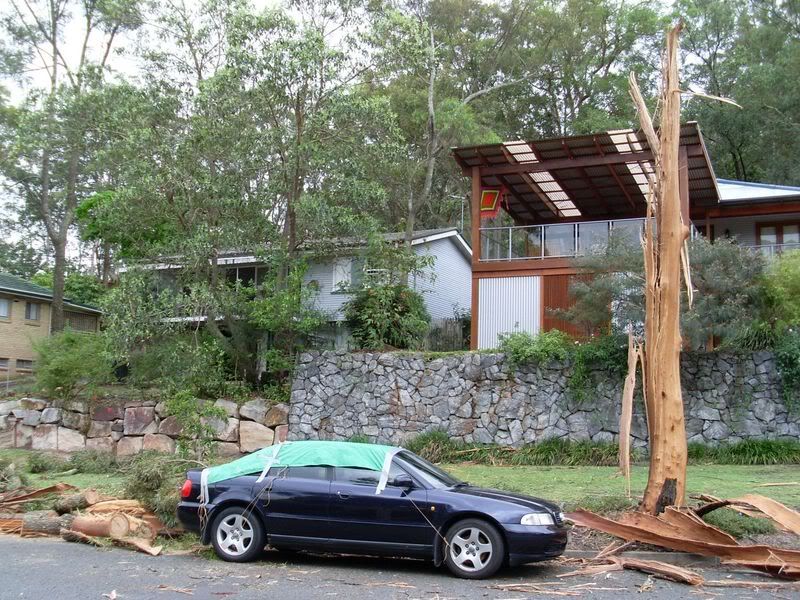 Lightning Tree 8, Tree struck by lightning in Brisbane suburb on Nov 16 2008.  Breeze blew danaged tree down.  Audi destroyed.