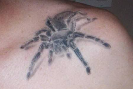 tribal spider tato on shoulder-961