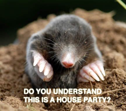 mole_houseparty.jpg