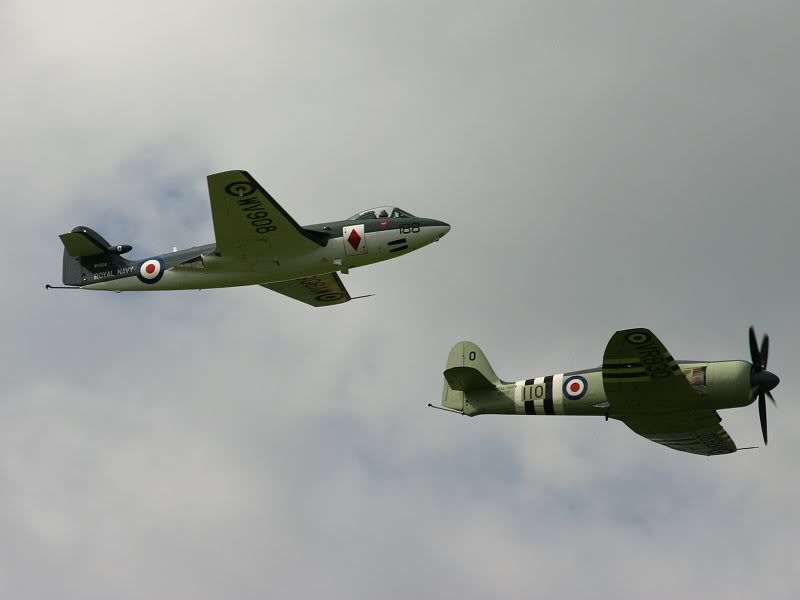 http://img.photobucket.com/albums/v186/TomEveritt/Elvington2005064a.jpg
