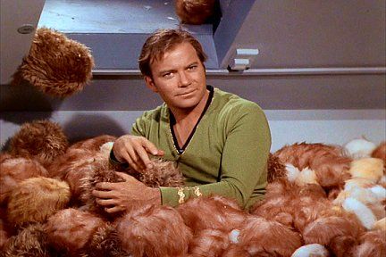  photo troubles-with-tribbles_zps47p33nfh.jpg