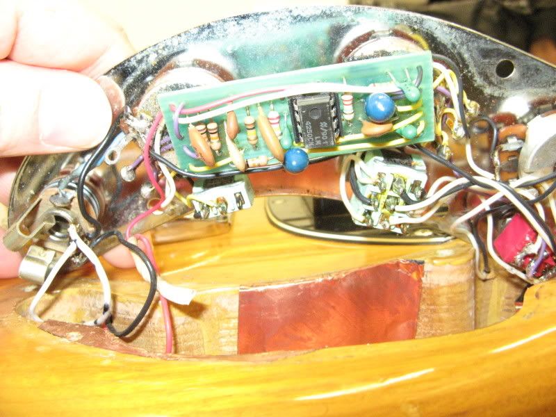 Basses003.jpg