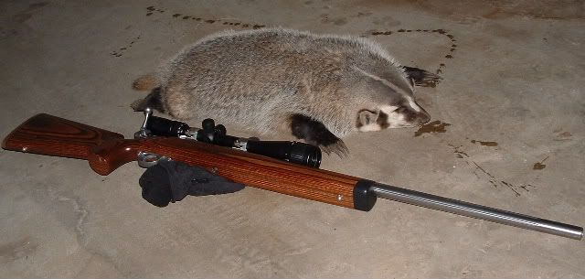 Alberta Badger