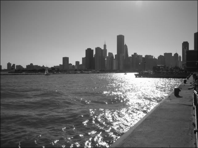 re: Orchids Are Pretty