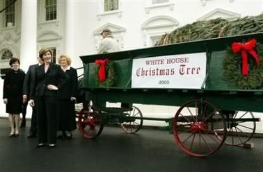 whitehouse Christmas Tree arrives