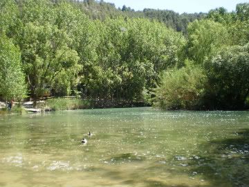 Alcalá del Júcar (Albacete) - Blogs de España - Alcalá del Júcar. (27)