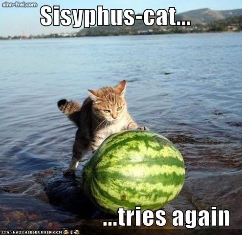 funny-pictures-sisyphus-cat-wate-1.jpg Sisyphus Cat image by jamador