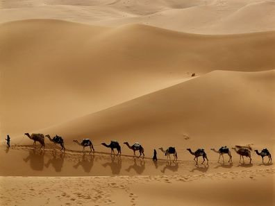 http://img.photobucket.com/albums/v188/nekonomad/nekonomad0598_zpsac67f268.jpg