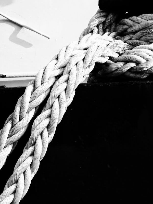 BW_Rope_by_MistiKat