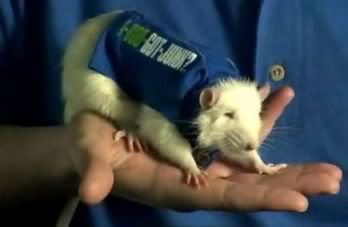 Image hosting by Photobucket