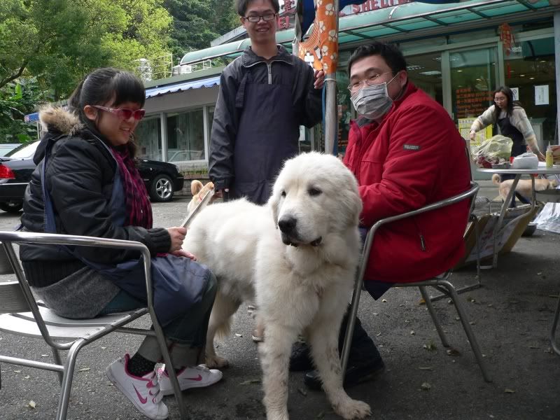 圖檔