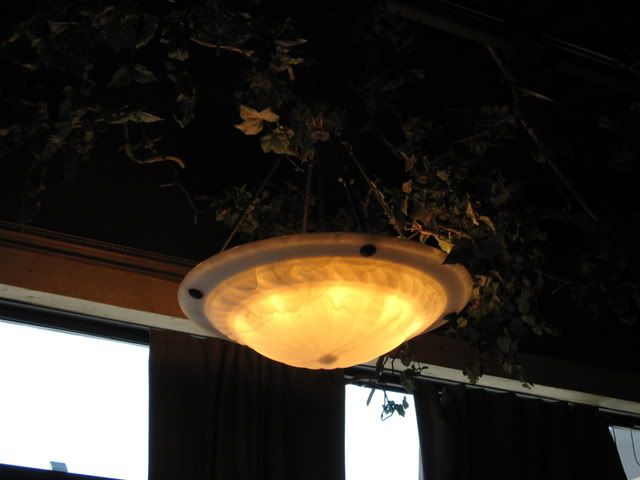 Light and Leaves in Cafe 22