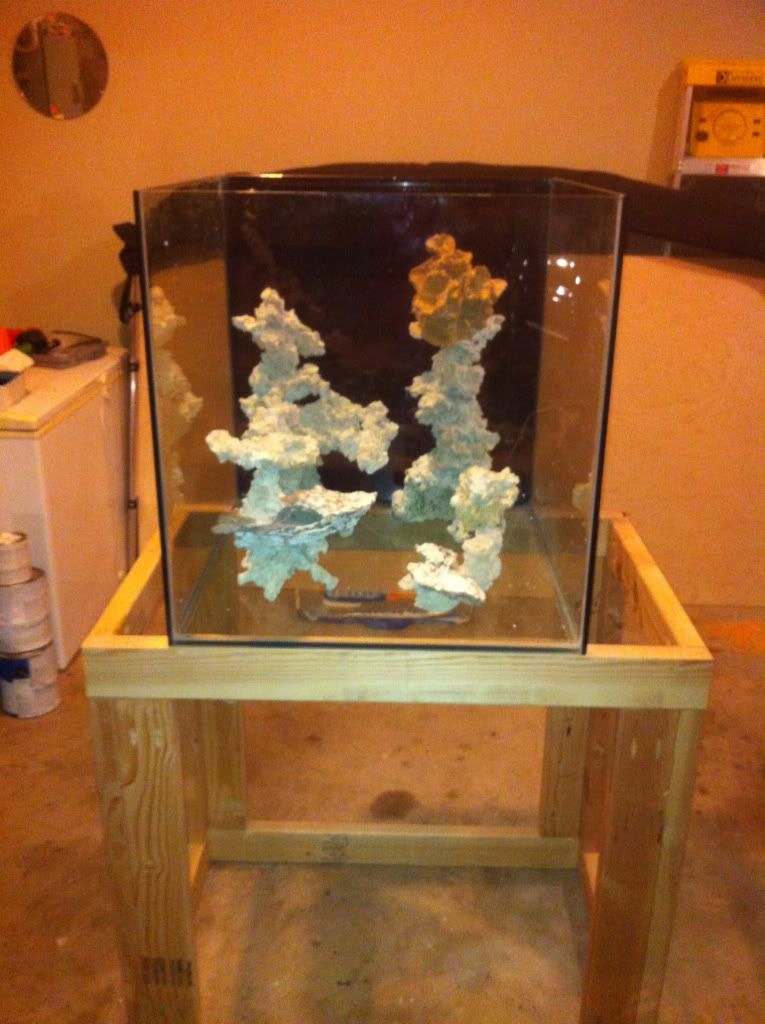 Ghost overflows o.o Reef Central Online Community