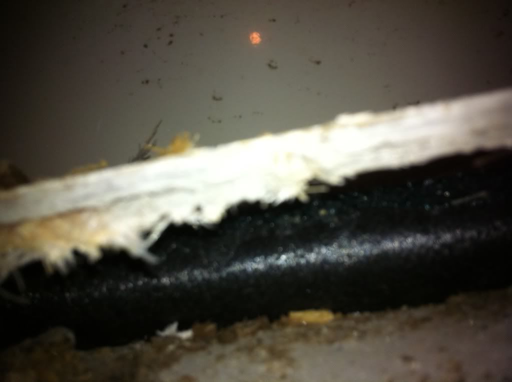 photo3-3.jpg