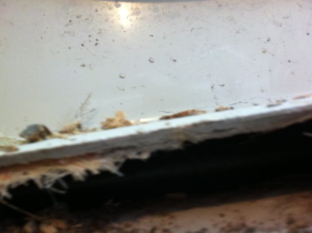 photo5-2.jpg