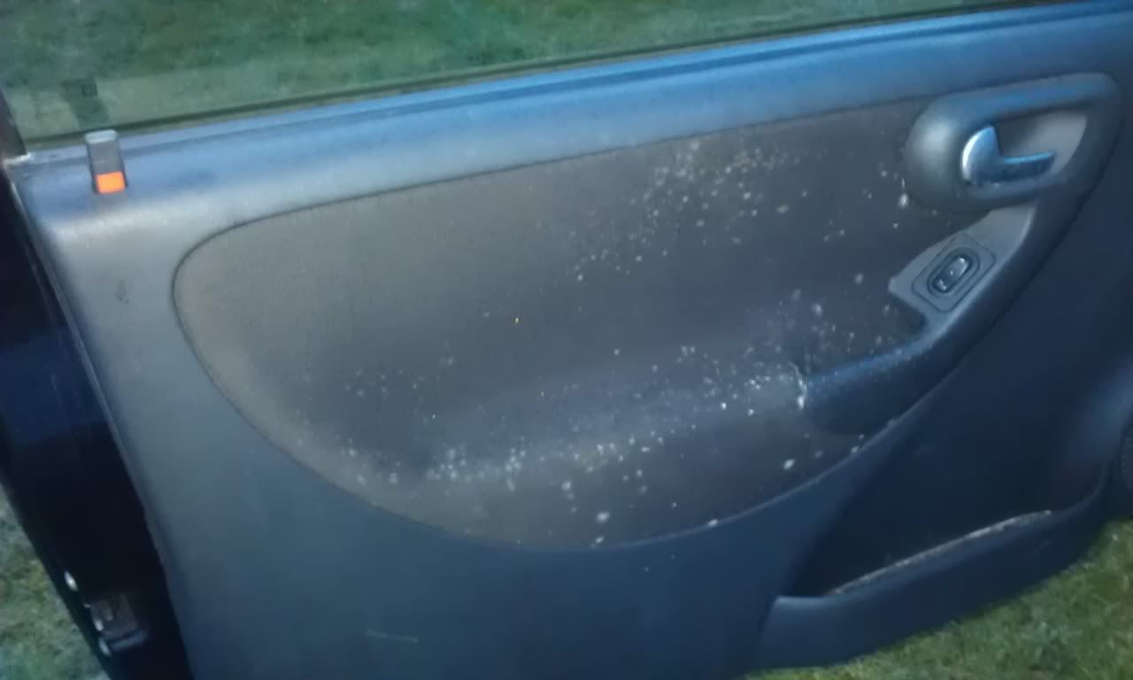 Fungi in the car Detailing World Forum