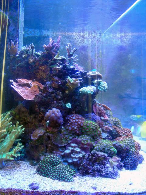 120Gal5-8-10020.jpg