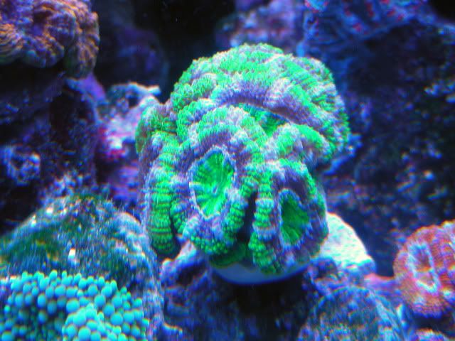 120gal1-16-10003.jpg