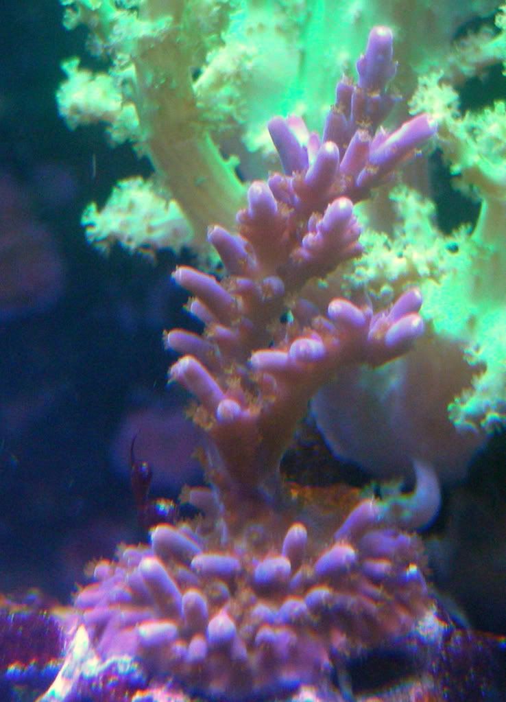 120gal11-25-08014.jpg