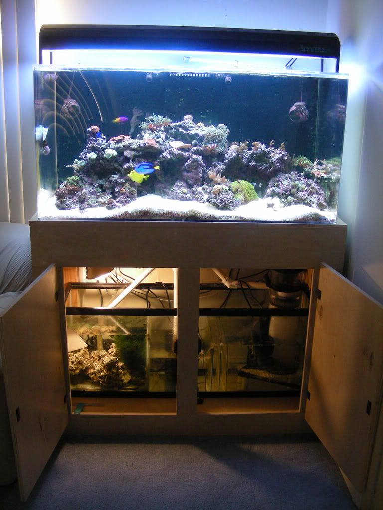 120gallon10-4-08015.jpg