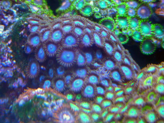 fishtanks2-19-10018.jpg