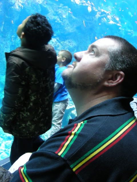 Aquarium1-30-10058.jpg