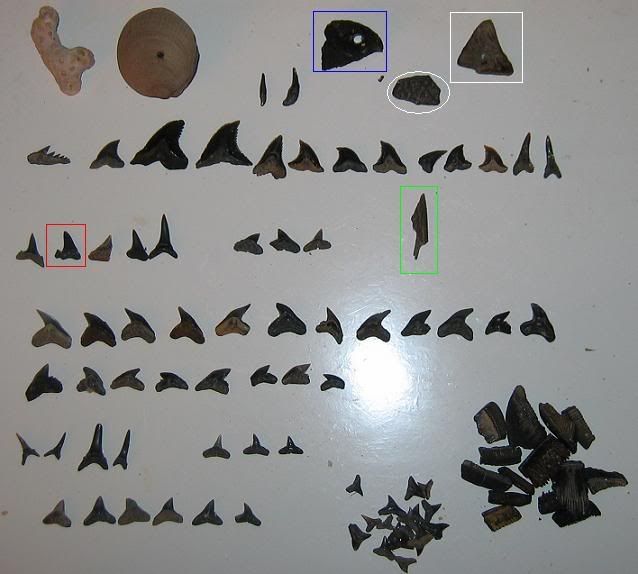 finds042509.jpg