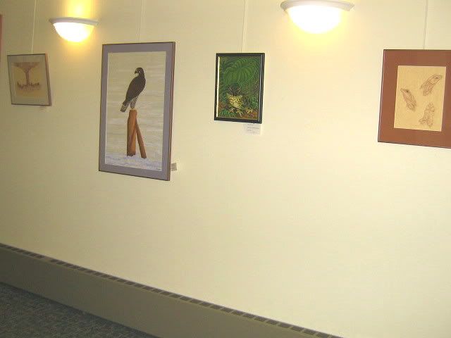 art show wildlife,library