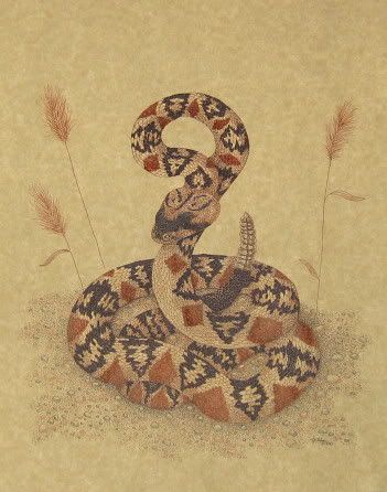 wildlife,art,reptiles