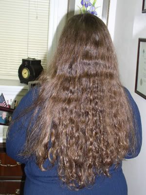 20070209preCG.jpg