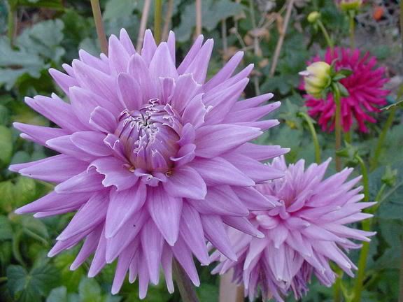 Image hosted by Photobucket.com