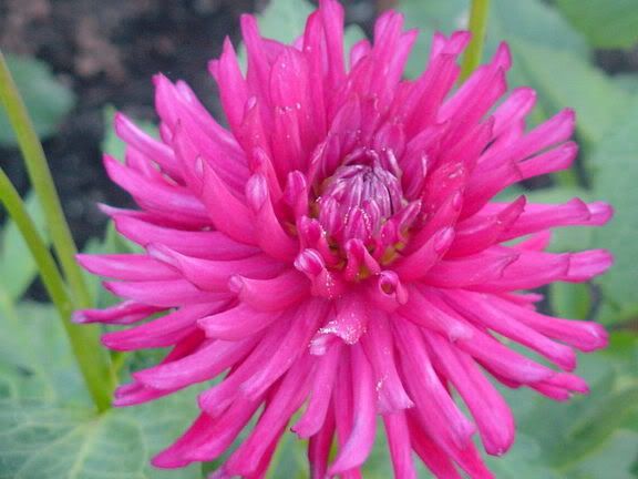 Image hosted by Photobucket.com