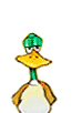 duck-2.gif