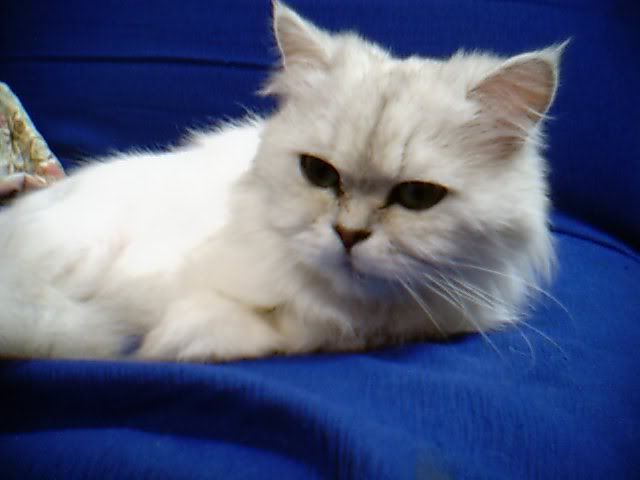0527_021905X.jpg