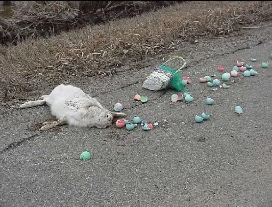 easter.jpg