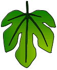 fig_leaf.gif