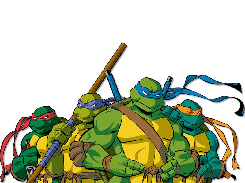 turtles group