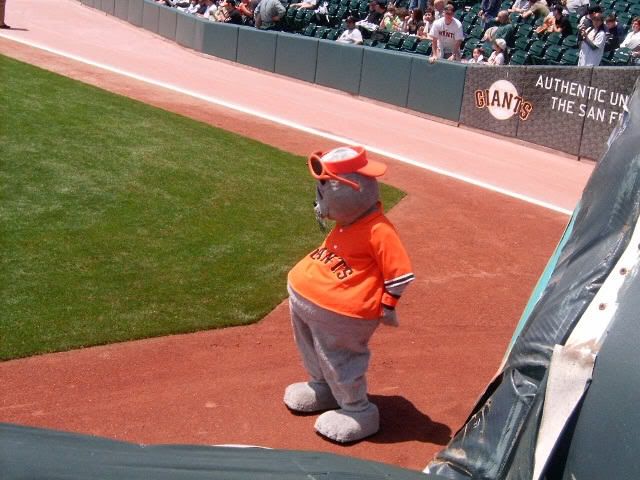 louseal1.jpg