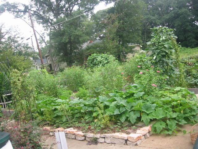 May I see your front yard vegie garden?