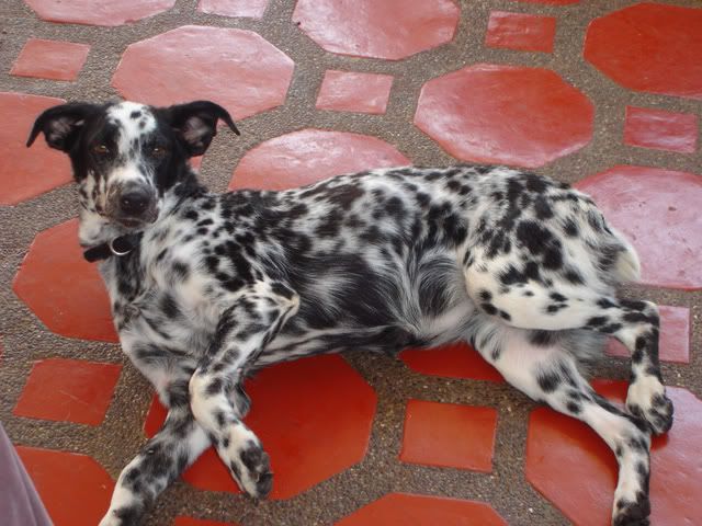 Image hosted by Photobucket.com