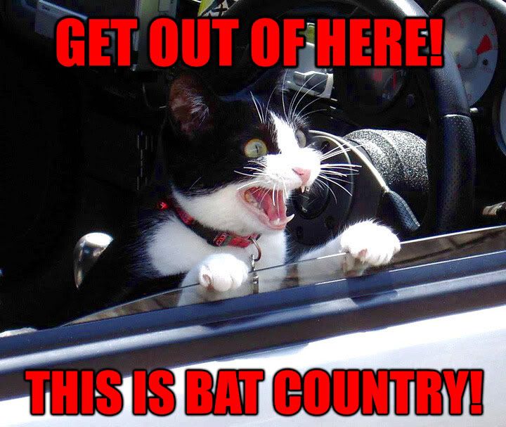 batcountry.jpg