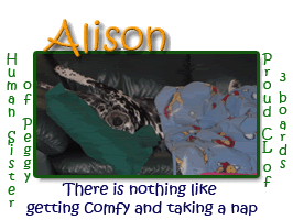 Image hosted by Photobucket.com