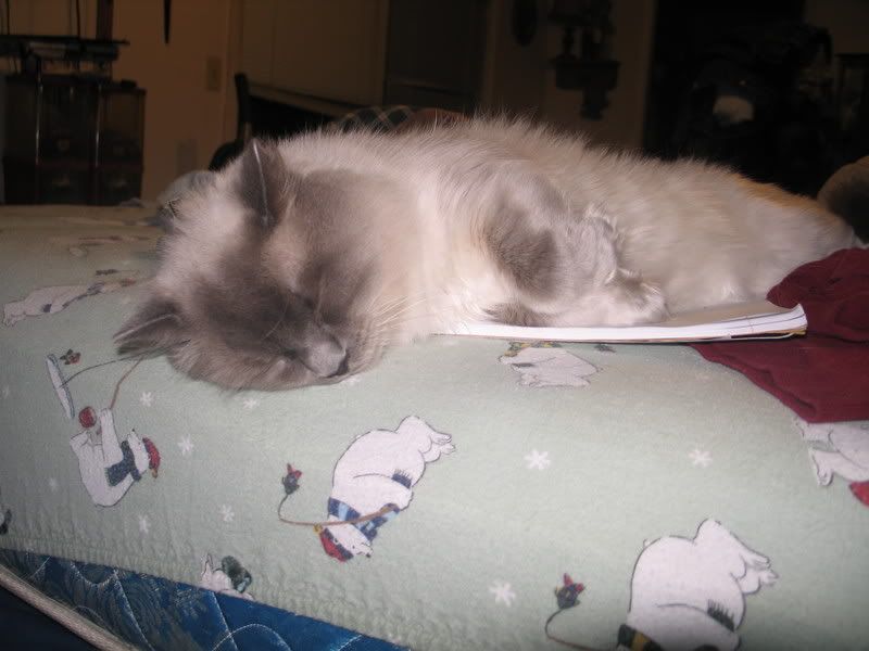 User submitted image User submitted image