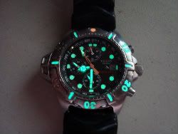 DSC02537-1.jpg